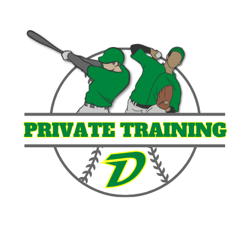 Ducks Supplemental - Lessons - 500x500