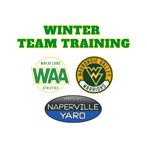 Ducks Supplemental - Winter Training - 500x500
