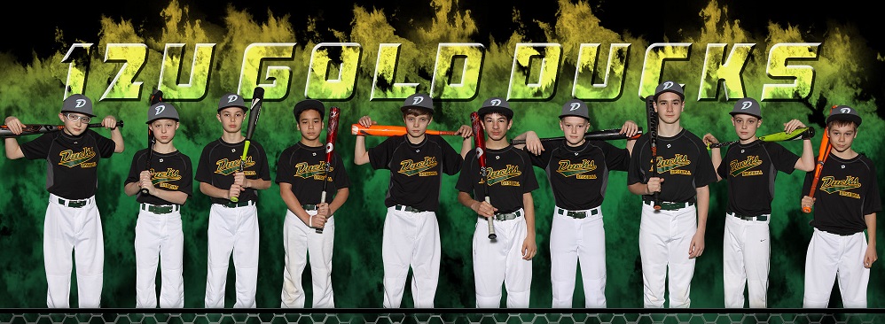 12U-Gold.jpg