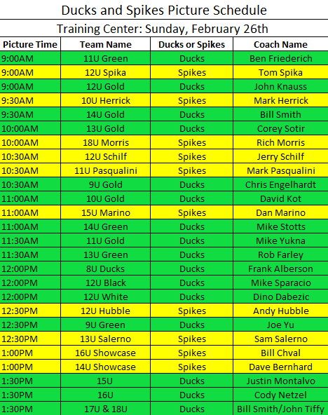 ducks-spikes-picture-schedule-2017.png